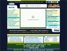 Tablet Screenshot of nainitaltourism.com